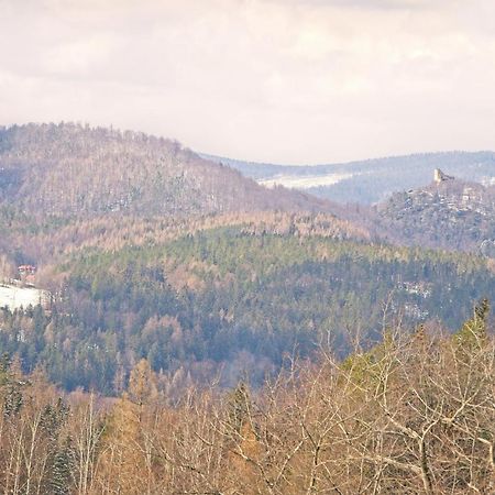 Willa "Sniezna Kopa"-Agroturystyka Pro Zdrowotna Villa Sosnowka  Exterior photo